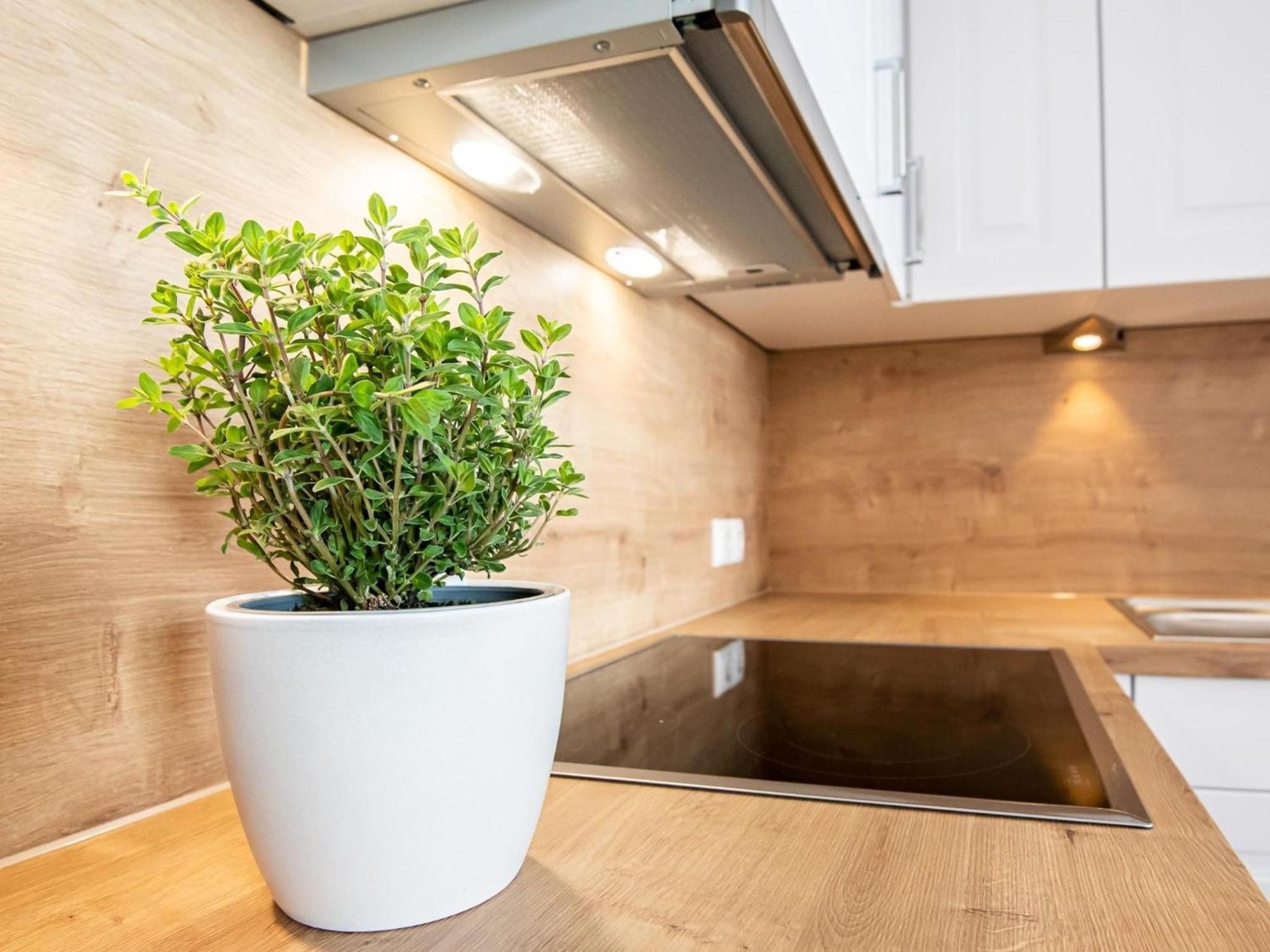 Berolina 804 Penthouse Mit Meerblick 达默 外观 照片